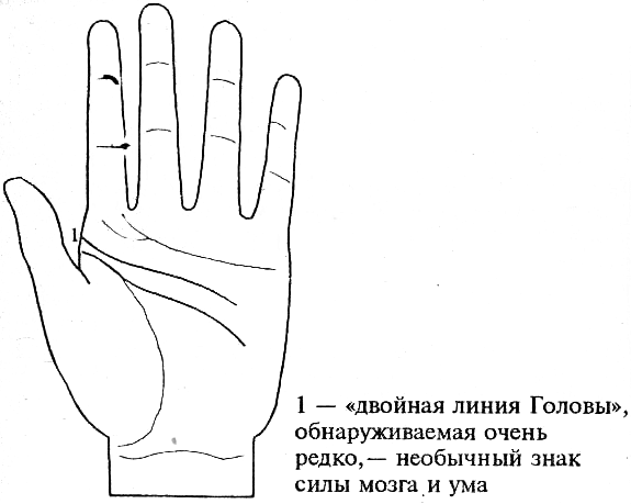 Знак ведьмы: эти линии на руке выдают в вас мистические таланты — посмотрите на свои ладони | WDAY